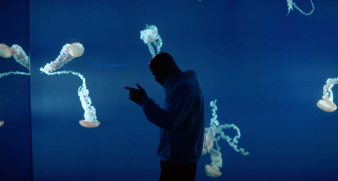 Drake - What's Next (IAMM Remake)